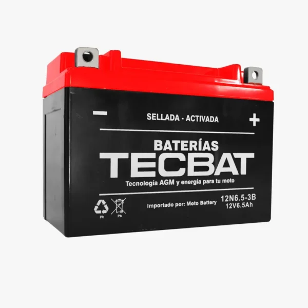 Batería 12N6.5-3B